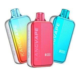 KANGVAPE TC8000 PUFFS
